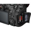 תמונה של מצלמת Canon EOS R6 Mark III